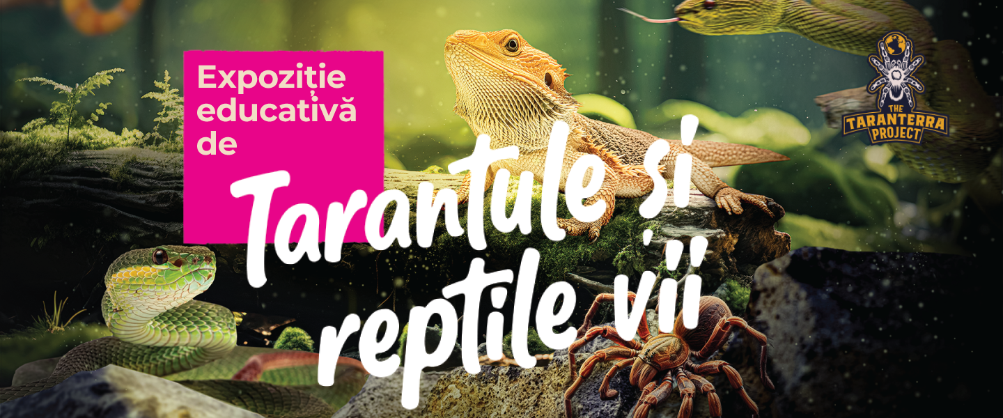 Expozitie de tarantule si reptile vii 2025