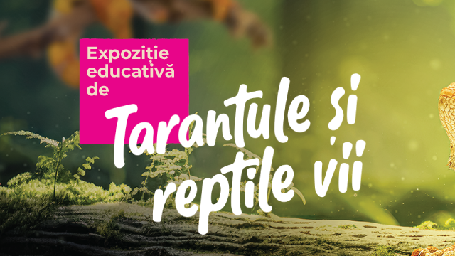 Expozitie de tarantule si reptile vii 2025